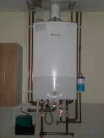 Domestic condensing gas boiler with vertical flue